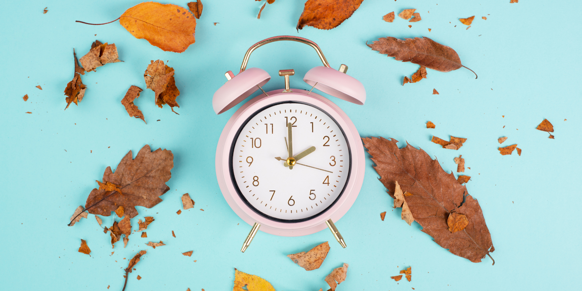 Daylight time saving - Premier Clocks