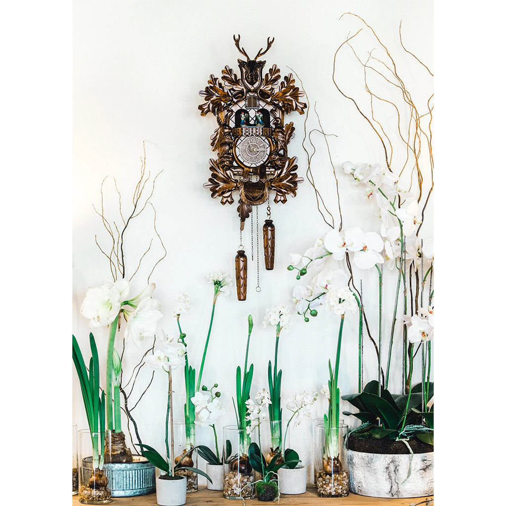 Hermle Schwarzwald Cuckoo Clock in interior decor - Premier Clocks